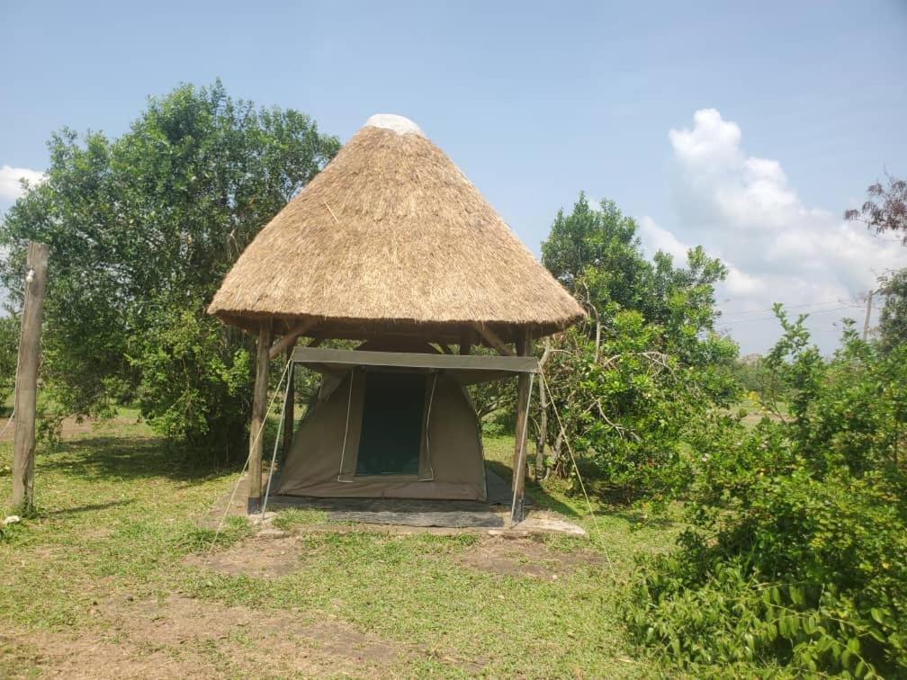 Engiri Game Lodge And Campsite Katunguru Dış mekan fotoğraf
