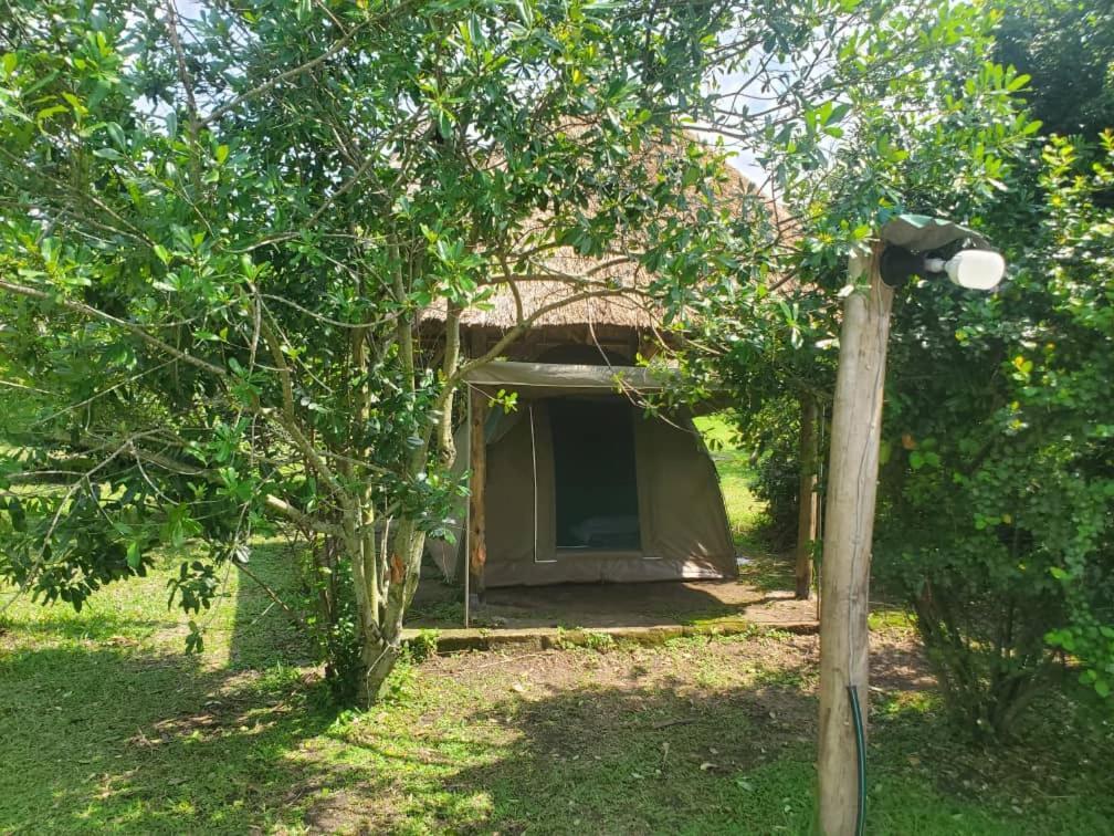 Engiri Game Lodge And Campsite Katunguru Dış mekan fotoğraf