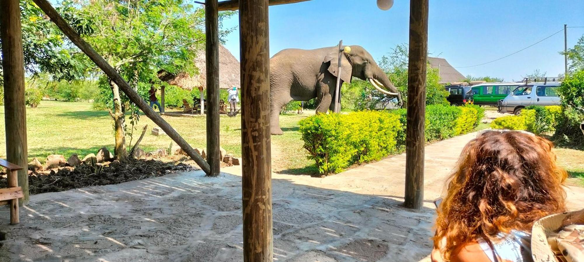 Engiri Game Lodge And Campsite Katunguru Dış mekan fotoğraf