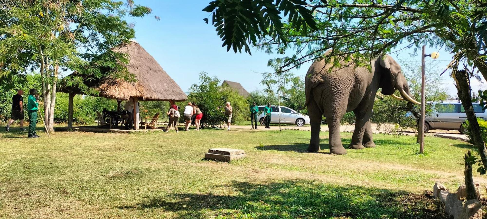 Engiri Game Lodge And Campsite Katunguru Dış mekan fotoğraf