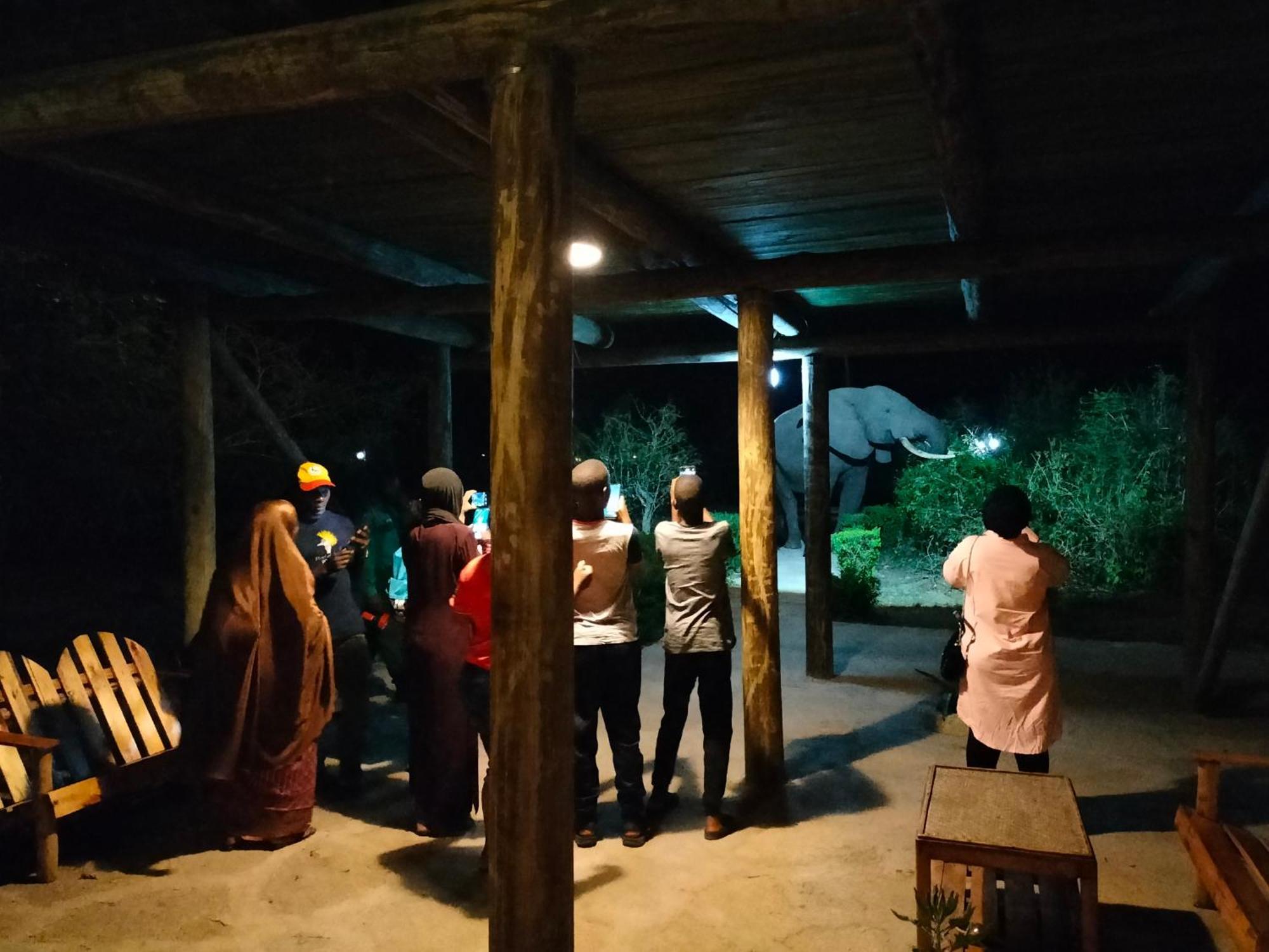 Engiri Game Lodge And Campsite Katunguru Dış mekan fotoğraf