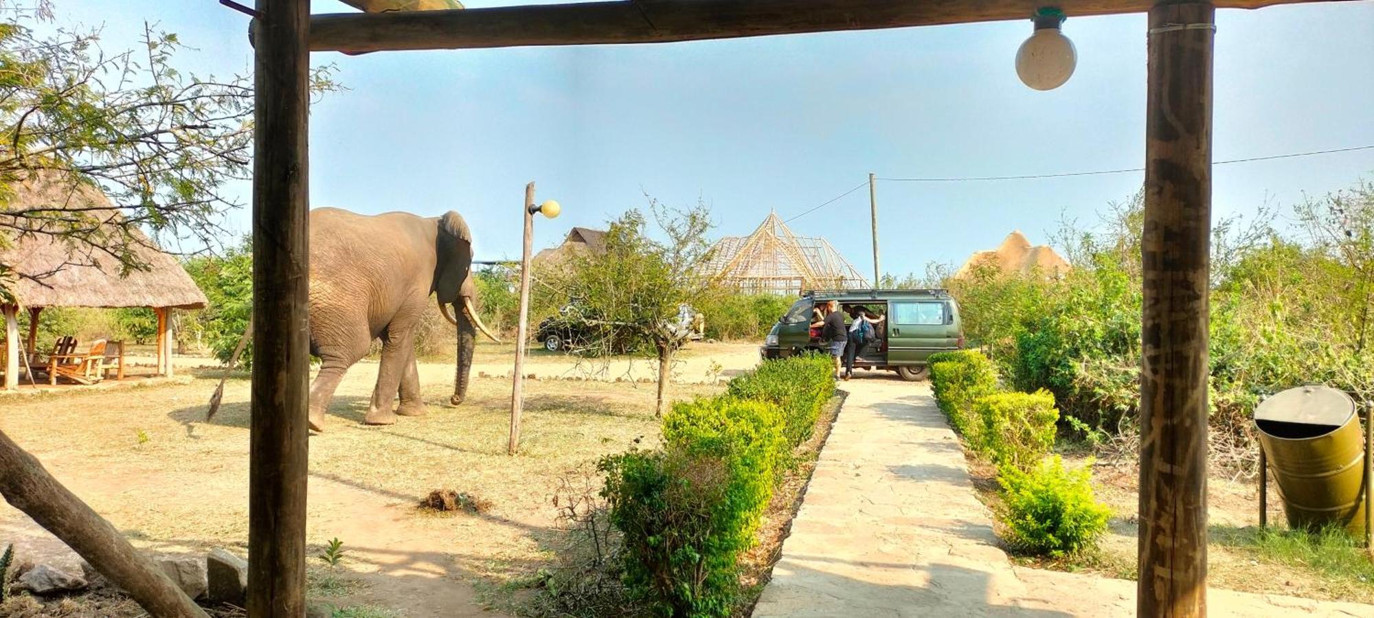 Engiri Game Lodge And Campsite Katunguru Dış mekan fotoğraf