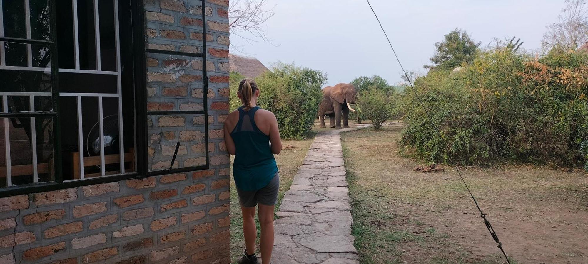 Engiri Game Lodge And Campsite Katunguru Dış mekan fotoğraf